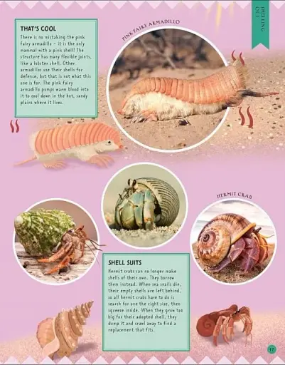 Odd Animals Out - фото 5