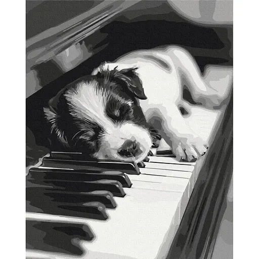 Картина за номерами "Мелодія сну" BS54066, 40x50 см