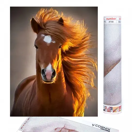 Набір алмазної мозаїки (вишивки) Cornix Art 40 x 30 см AY87 - фото 1