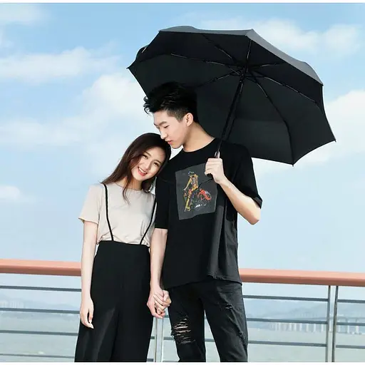 Зонтик автомат Pinlo Automatic Umbrella (ZDS01XM) - фото 9