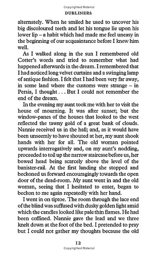 Dubliners - фото 8