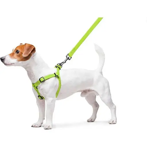 Шлея для собак Waudog Waterproof водостійка з QR паспортом, металічна пряжка-фастекс, салатовий - фото 7