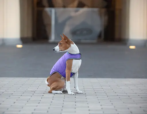 Куртка-накидка для собак AiryVest, L, B 58-70 см, С 42-52 см фіолетовий [CD] - фото 8