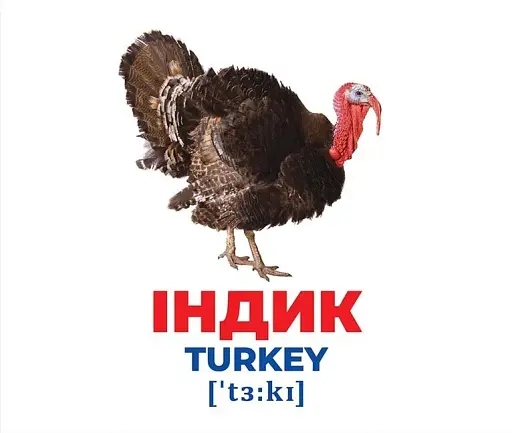 Свійські тварини. Геній з пелюшок - фото 2