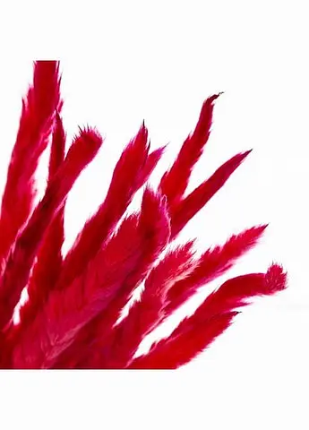 Пампасная трава Малиновая, стабилизированная (8213-037) 67.5 см Elisey   - фото 2