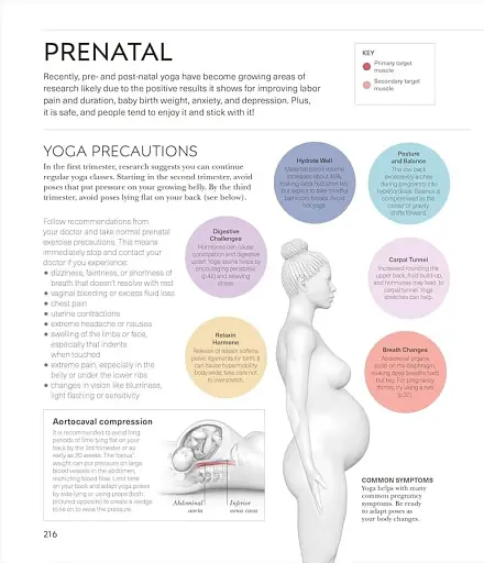 Science of Yoga. Understand the Anatomy and Physiology to Perfect Your Practice - фото 7
