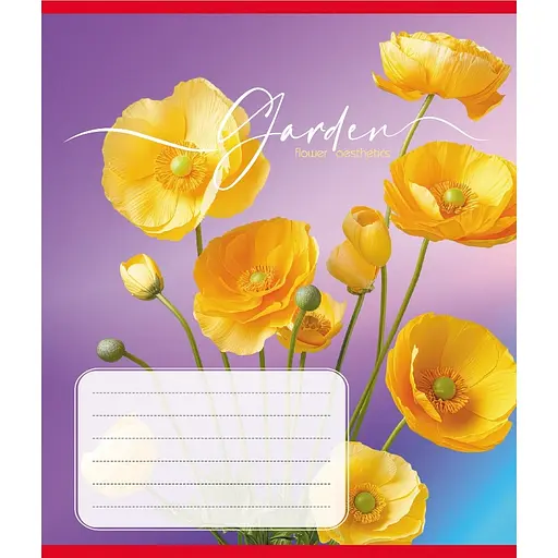 Тетрадь ученическая "Эстетика" Leader 024-550443K-2 в клеточку, 24 листа - фото 1