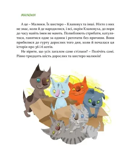 36 і 6 котів - фото 10