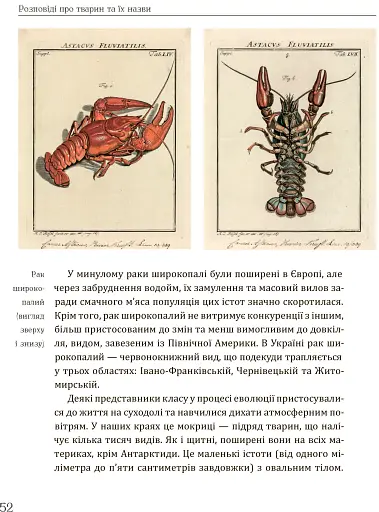 Розповіді про тварин та їх назви - фото 7