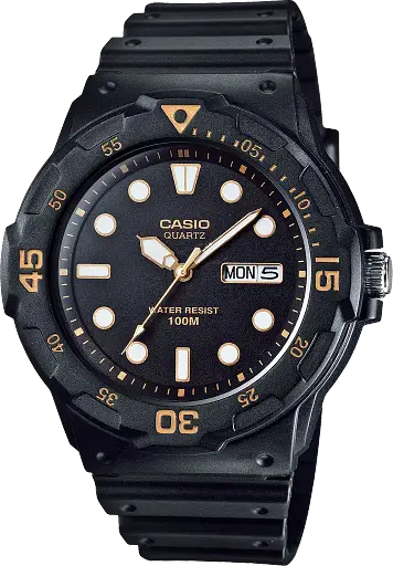 Часы Casio Timeless Collection MRW-200H-1EVEF