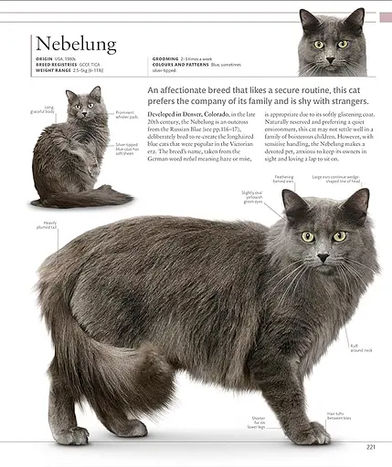 The Cat Encyclopedia - фото 9