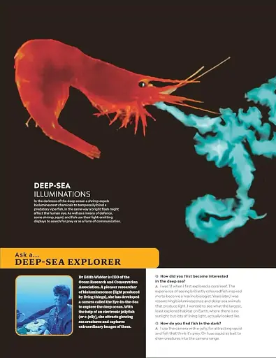 Eyewitness Encyclopedia of Animals - фото 4