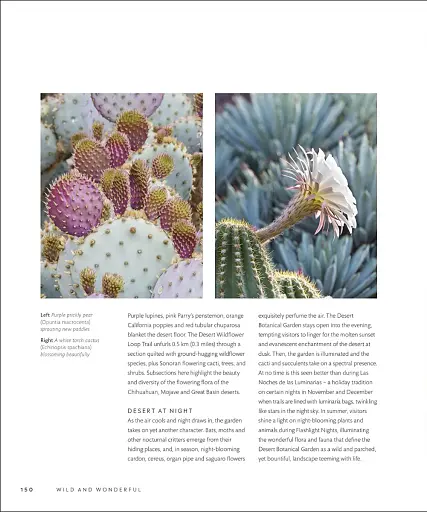 Gardens of the World - фото 13