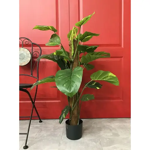 Эпипремнум Hvoya на опоре 100 см - фото 3