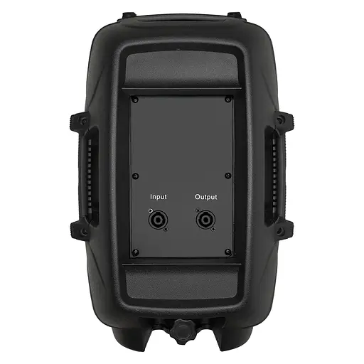 Пасивна акустична система BIG JB08L150 8Ohm - фото 3