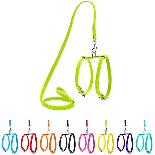 Шлея з повідцем для собак Waudog Glamour шкіряна з QR паспортом, салатовий - фото 3