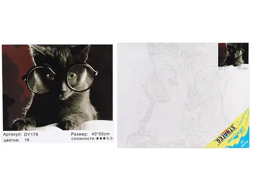 Набор для росписи по номерам Кот-ученый, Strateg, 40x50 см, DY178