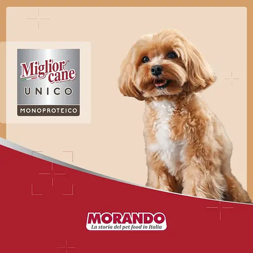 Сухий корм для собак малих порід Morando Migliorcane Unico індичка 7.2 кг (9 шт. х 800 г) - фото 7