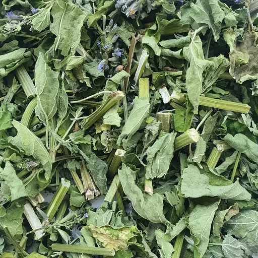 100 лофант тибетський трава сушена - свіжий урожай