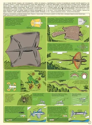 Але високо! Мальована історія авіації - фото 5