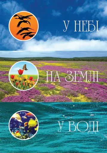 Я досліджую світ. 1-4 класи. Дивокрай. Частина 2 - фото 2