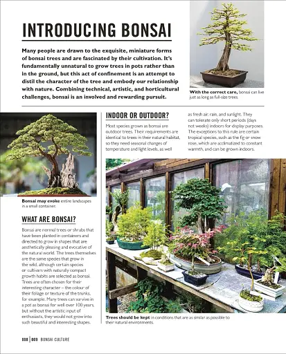 Grow Bonsai - фото 5