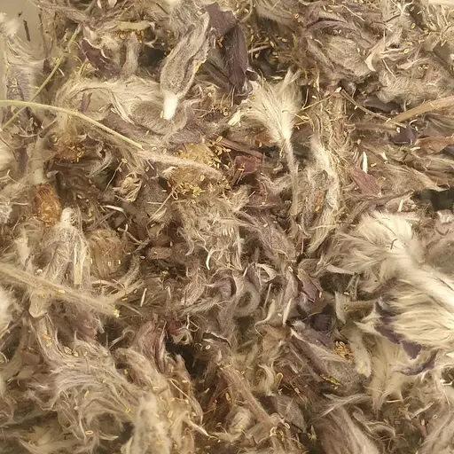 100 г простріл розкритий/сон-трава сушена - свіжий урожай