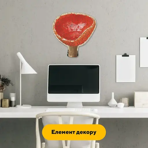 Деревянный фигурный пазл Саркосцифа, А5, Картонная коробка 35 элементов - фото 3