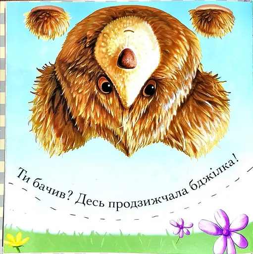 Книга Пригоди ведмедика Меді. Гайда за бджілкою! Автор - Ґеррі Флемінґ (АССА) - фото 4