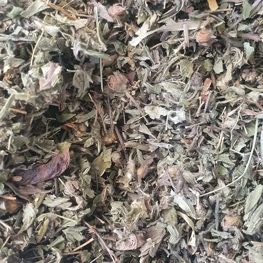 100 г курильський чай/перстач чагарниковий/п'ятилисник - свіжий урожай