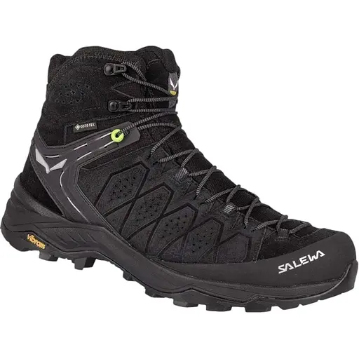 Ботинки Salewa MS Alp Trainer 2 Mid GTX 43 Черный (1054-013.001.4998)
