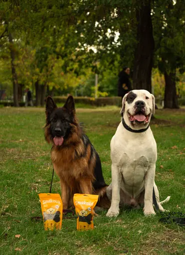 Ласощі для собак натуральні сушені. Легені яловичі, 50 г - фото 4