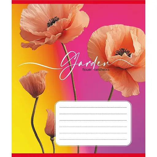 Зошит учнівський "Естетика" Leader 024-550443K-5 в клітинку, 24 аркуші - фото 1