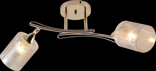 Потолочная люстра V XA1546A/2 FGD - фото 2