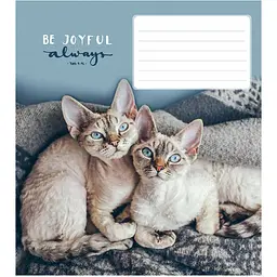 Зошит учнівський Школярик Be joyful always у клітинку 18 аркушів 25 шт. (018-3263K) - мініатюра 5