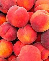 Саджанець Agro-Market Персик Кондор (літній сорт, середній термін дозрівання) (35991) 1 шт. в упаковці - мініатюра 2