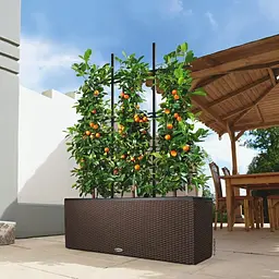 Вазон Lechuza Cottage Trio 30 мокко (15005) - мініатюра 2