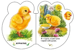 На подвір'ї - мініатюра 4