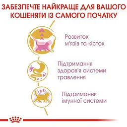 Сухий корм для британських короткошерстих кошенят Royal Canin British Shorthair Kitten з м'ясом птиці 0.4 кг - мініатюра 5
