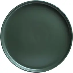 Тарілка Limited Edition Robust Green обідня 26.5 см (TRSC-PS2505-G105P) - мініатюра 3