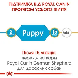 Сухий корм для цуценят породи Німецька вівчарка Royal Canin German Shepherd Puppy, 12 кг (25191201) - мініатюра 8