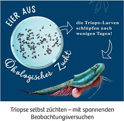 Світ щитнів Triops World Kosmos - Набір для дослідження (616748) - мініатюра 2