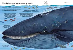 Велика книга тварин - мініатюра 5