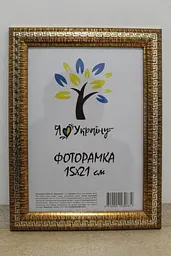 Фоторамка 15х21, золота зі срібною змійкою, 2416-261S, Скло + Картон