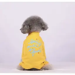Трикотажний костюм для собак Being nice is fun, оранжевий L Cheepet zoo0005692 - мініатюра 3