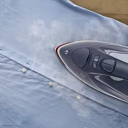 Праска ELECTROLUX E6SI1-2MN - мініатюра 3