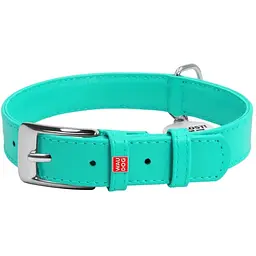 Нашийник для собак Waudog Glamour, шкіряний, з QR паспортом, 38-49х2,5 см, ментоловий