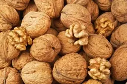 Саджанець Agro-Market Волоський горіх Велетень (середній термін дозрівання) 1 шт. в упаковці (53327) - мініатюра 3