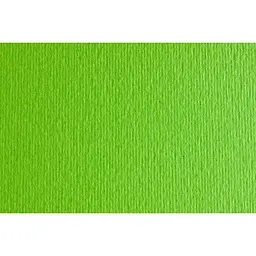 Папір для дизайну Fabriano Elle Erre B1 (70x100см) №10 verde picello 220г/м2 салатовий