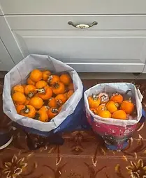 Саджанець Agro-Market Хурма на віргінській морозостійкій підщепі Сосновська вищий сорт! (46130) 1 шт. в упаковці - мініатюра 4